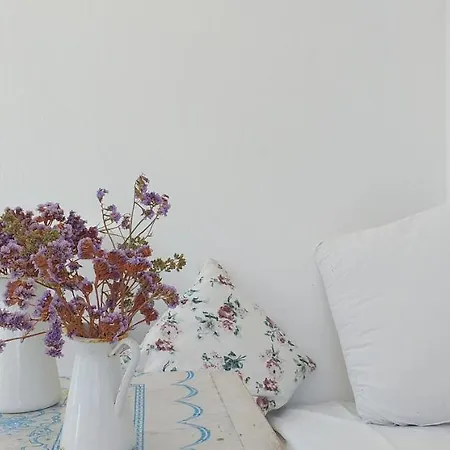 Gialos House * 斯基罗斯岛