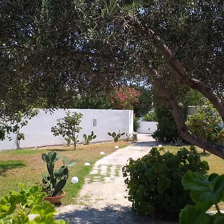 Gialos House 度假居 *