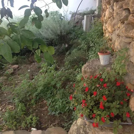 Gialos House