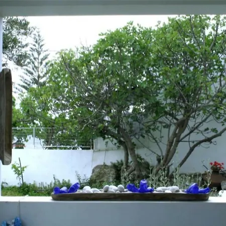 Gialos House 度假居 斯基罗斯岛